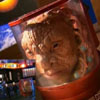 CHARACTER OPTIONS - DOCTOR WHO action figure - THE FACE OF BOE